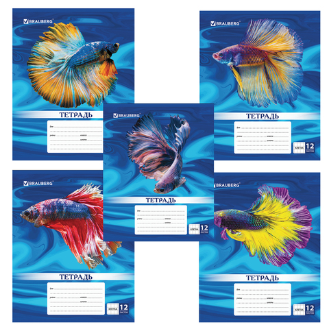 9b5799cb2702ca337ce359a73f106fe5.jpg