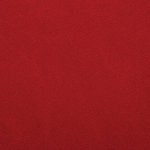b4307d9baad8dd5bef0d82eec401ab0f.jpg
