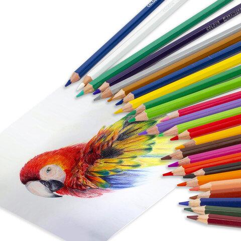 f5249c09c638c54f754312136f39280c.jpg