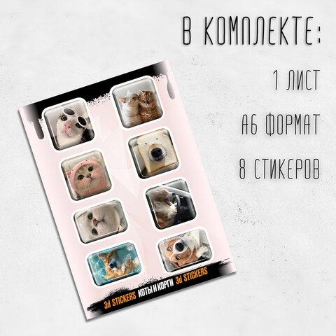 304de82466091ed5d0be8a983ef66e96.jpg