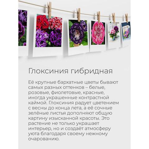 9e36ab80fa7ef63e00220361d92d9925.jpg